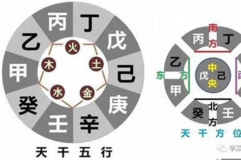 八字日干|日干算命论命